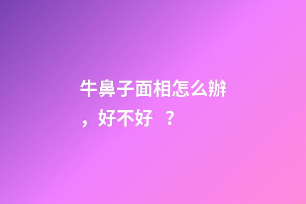 牛鼻子面相怎么辦，好不好？